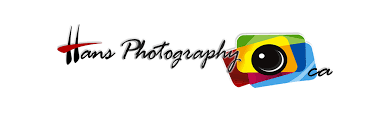 DREAM PRODUCTIONS ( RANJIT HANS )