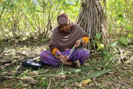 Dalam sebulan, rianni mampu mengekspor 250 gulung tikar. Foto Menjaga Tikar Pandan Tradisional Aceh Agar Tak Punah Kumparan Com