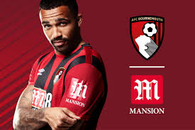 We've added six brand new shows to ufc fight pass for the ultimate fight fan experience. Afc Bournemouth Continues Strong Partnership With Mansion Group Insider Sport