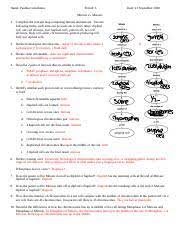 I no longer update these worksheets because we no longer use that book. Mitosis Vs Meiosis Worksheet Name Paulina Castellanos Period C Date 21 September 2018 Mitosis Vs Meiosis 1 Complete The Concept Map Comparing Course Hero