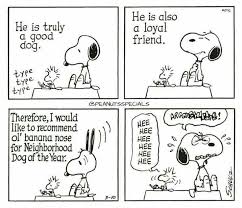 Pin By Birgit Hahn On Snoopy Snoopy Funny Snoopy Love Snoopy Comics