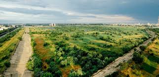 I din ordonanța de urgență nr. 28 De Ong Uri Cer Protejarea Parcului Natural VÄƒcÄƒreÈ™ti Ambasada Sustenabilitatii In Romania