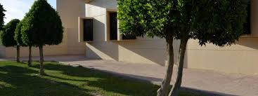 كلية التربية Imam Abdulrahman Bin Faisal University