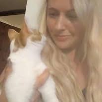 Chicken coop insulation ideas for cold nights