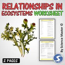 Relationships In Ecosystems Worksheet Ecosystems Science Teaching Resources Relationship