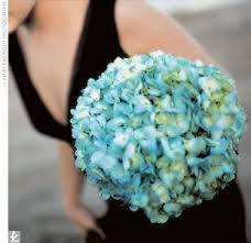 Maybe you would like to learn more about one of these? Tiffany Blue Flowers Blue Themed Wedding Blue Wedding Flowers Tiffany Blue Wedding Theme