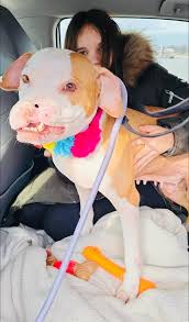 The Sweetest Sugar...