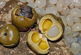 If you are looking for a direct translation, i recommend asking lai has no meaning in hebrew, although this is a common way to represent singing without words.compared to lalalala in english. Pin On Nutrition