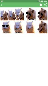 Especially this white wolves laughing meme. Laughing Wolves Meme Stickers For Android Apk Download