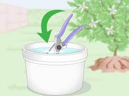 You need water, bleach and powdered laundry detergent to make the cleaning solution. 3 Ways To Disinfect Gardening Tools Wikihow