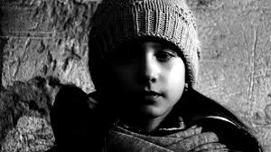 Koncoročná anketa 2017