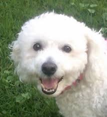 Feminine Revelations