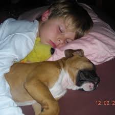 Sam Calloway (@samcalloway7) · Instagram 照片和视频