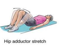 We provide image groin strain symptoms causes treatment rehabilitation exercises is similar, because our website concentrate. Groin Strain Exercises New York Hip Exercise