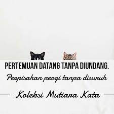 Sama seperti kata kata bijak tentang tidak dihargai dibawah ini yang mencerminkan betapa besarnya pengaruh saling hargailah apa yang kamu miliki, tanpa kita sadari betapa berartinya ia setelah kamu kehilangannya. Kata Kata Menghilang Tanpa Pamit