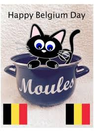 Le 21 juillet, jour de fête nationale, la une retransmet en direct le défilé militaire et civil qui a lieu à la place des palais à bruxelles. 19 Idees De Joyeux Halloween Joyeux Halloween Halloween Fete Nationale Belge