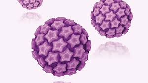 Cervical cancer is a type of cancer that develops in a woman's cervix (the entrance to the womb from the vagina). Euroarray Hpv More Certainty In The Early Diagnosis Of Cervical Cancer Euroimmun Ag