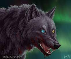 Darcia Wolf S Rain Anime Wolf Fantasy Wolf