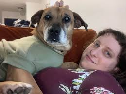 Arwen enjoying her favorite bed