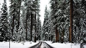 Computer backgrounds tumblr google search on we heart it tons of awesome aesthetic christmas wallpapers to download for free. Fashion Wallpaper Computer Backgrounds 23 Ideas Computer Wallpaper Desktop Wallpapers Winter Wallpaper Desktop Laptop Wallpaper Desktop Wallpapers