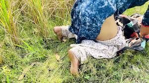 Outdoor Village Sex on Paddy Field Desi Indian Bengali Bhabi Doggy Style  Fuck and Creampied with Audio