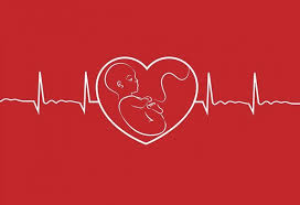 The sonographer will measure the baby and use these measurements. No Heartbeat At 6 Weeks Ultrasound Faqs