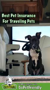 Then, reimbursement rates are the percentage that pet insurance will cover or pay you back for a covered event. Best Pet Insurance For Traveling Pets Gopetfriendly Com