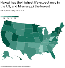 Image result for Life Expectancy