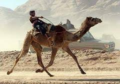 Allows for bridging the consumer to the camel routing by default the consumer will use the org.apache.camel.spi.exceptionhandler to deal with false. Very Fast Camels And Cloud Messaging Software Blog