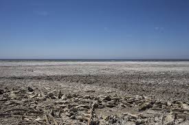 Once A Resort To Stars Such As Frank Sinatra And Groucho Marx The Salton Sea Now Shrivels As California Salton Sea California Drought Salton Sea California