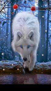 Beautiful Wolf Spirit Animal Beautiful Wolves Fantasy Wolf