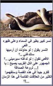 Desertrose So True Arabic Quotes Beautiful Arabic Words Words Quotes