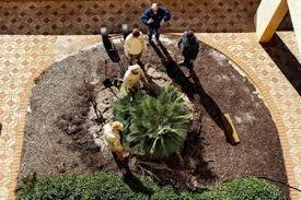 Jobs in horticulture is your horticulture industry job board. Landscape Industry Careers Horticulture Outdoor Jobs