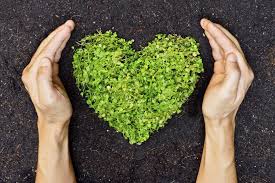 Les nouveaux évènements éco-responsable - Moon Event