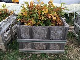 Maybe you would like to learn more about one of these? How To Start A Small Permaculture Nursery And Grow 1000s Of Trees By Yourself Permaculture Apprentice