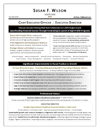 Get inspired with +50 of our top resume examples for 2021. Executive Resume Samples From Award Winning Resume Writer