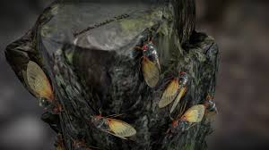 Lewd classroom (insect mmd) (蟲姦注意) Insects A 3d Model Collection By Evgeniy Evgeniym Sketchfab
