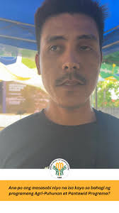 Francisco "Kiko" Tiu Laurel Jr.