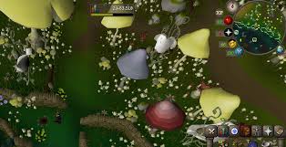 Oak bird houses are used in setting bird house traps on fossil island, requiring a hunter level of 14 to use. Birdhouse In Your Soul Birdhouse Runs