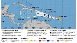 Image result for Tragia kirkiana