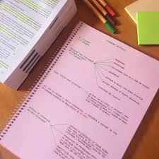 382 Likes 12 Comments Futura Auditora Embreveauditora On Instagram Finalizados Ontem Study Notes School Work Studyblr