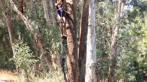 קסם על ים כנרת יולי 2011