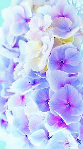 30,000+ vectors, stock photos & psd files. Iphonewallpaper Phonewallpaper Phonebackgrounds Iphonebackgrounds Iphonewallpapers Flower Wallpaper Pastel Color Background Beautiful Flowers Wallpapers