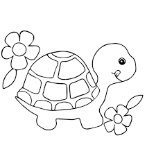 16 Coloring Page Turtle Turtle Coloring Pages Cute Coloring Pages Baby Coloring Pages