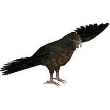 It was playable in the new zealand server, separated from the mainland where most predator mammal builds are playable. Giant Parrot Demon Hunter Zt2 Download Library Wiki Fandom