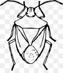 From the mouse to the elephant. Insect Coloring Pages Png Insect Coloring Pages For Preschoolers Insect Coloring Pages For Adults Insect Coloring Pages Realistic Printable Insect Coloring Pages Cleanpng Kisspng