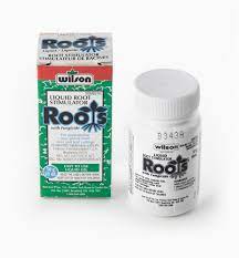 Root stimulators give your plant an abundance of health, white, and fuzzy roots. Root Stimulator Lee Valley Tools