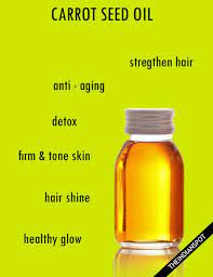 Others who use carrot oil say it helps to prevent hair loss by. Carrot Seed Oil Benefits And Uses Fitnessv Carrot Seed Oil Benefits Carrot Seed Oil Coconut Oil For Acne