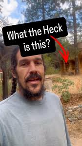 ⬇️ Your Top three questions answered! ⬇️, 1. 💪 Yes, that was an epic seed  sowing pun, 2. 🏡 Yes, this is a private residence in Grass Valley CA., 3.  😎 Yes the property is available for purchase., ☀️ ...