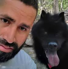 Looking for patio cleaning and joint sand refill services